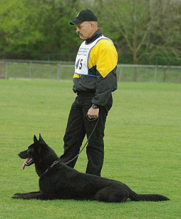 Mike sales diehl k9